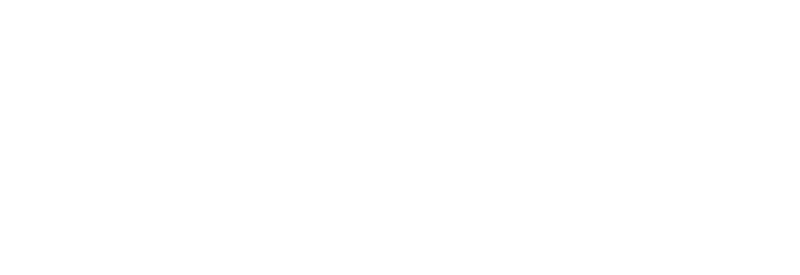 Ludic Asia
